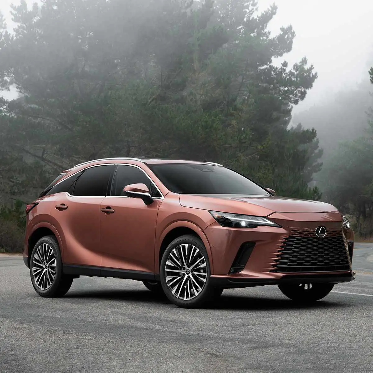 Lexus RX350 2025 Việt Nam: Khám Phá Chi Tiết 4 Phiên Bản và Giá Bán Mới Nhất