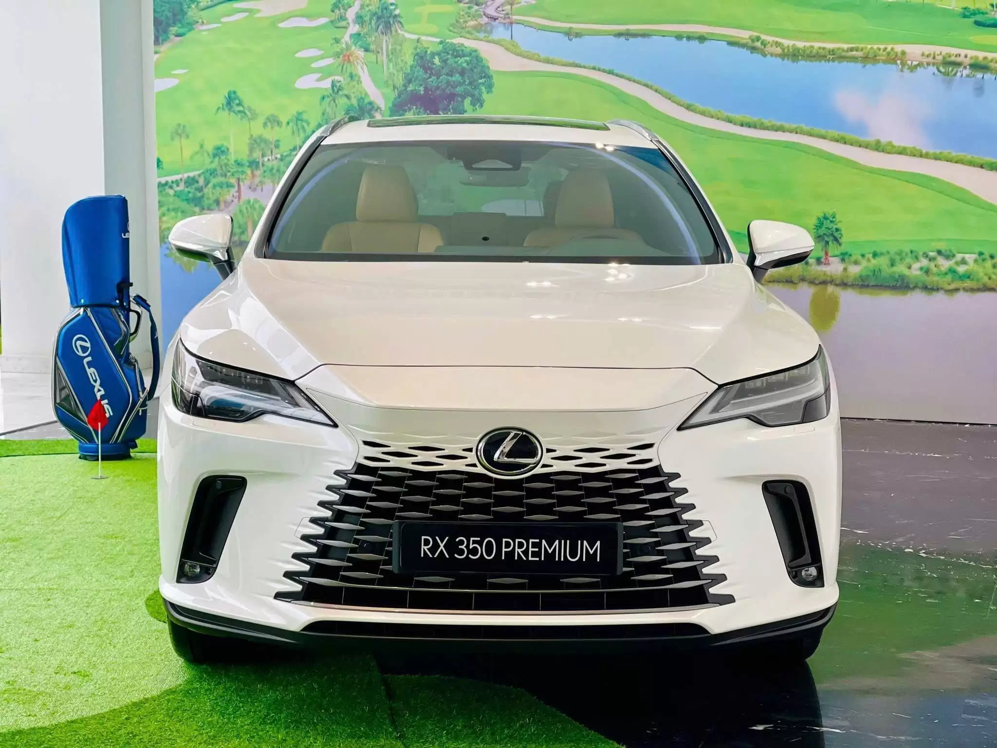 lexusphamhung-vn-11