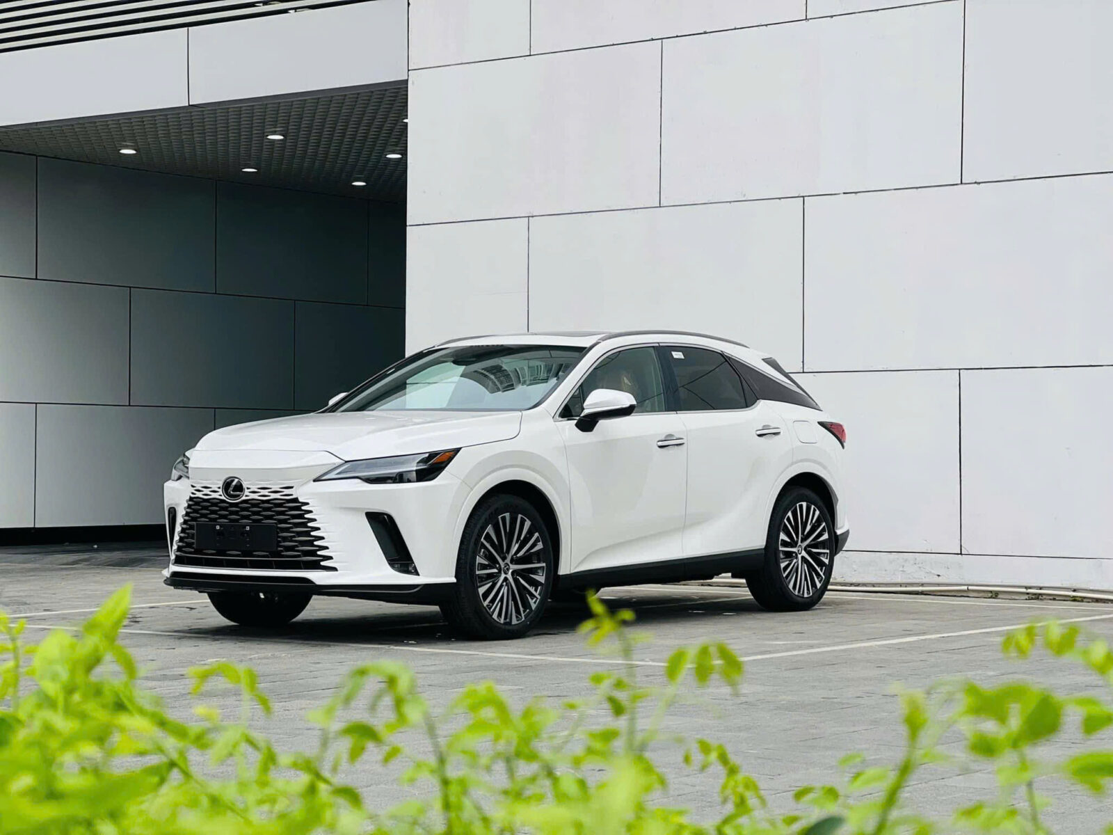 Gi&aacute; lăn b&aacute;nh c&aacute;c phi&ecirc;n bản Lexus RX 350